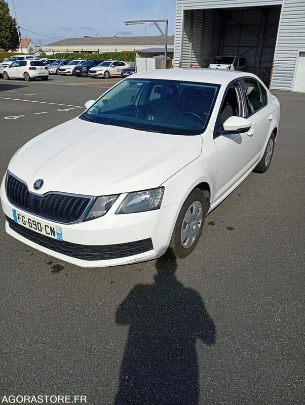 FG-690-CN - Roulant - SKODA OCTAVIA - VP - 401 800 Kms - מכונית: תמונה 1 FG-690-CN - Roulant - SKODA OCTAVIA - VP - 401 800 Kms - מכונית: תמונה 1