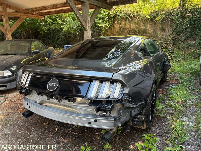 FORD MUSTANG FASTBACK 5.0 V8 - מכונית: תמונה 4 FORD MUSTANG FASTBACK 5.0 V8 - מכונית: תמונה 4