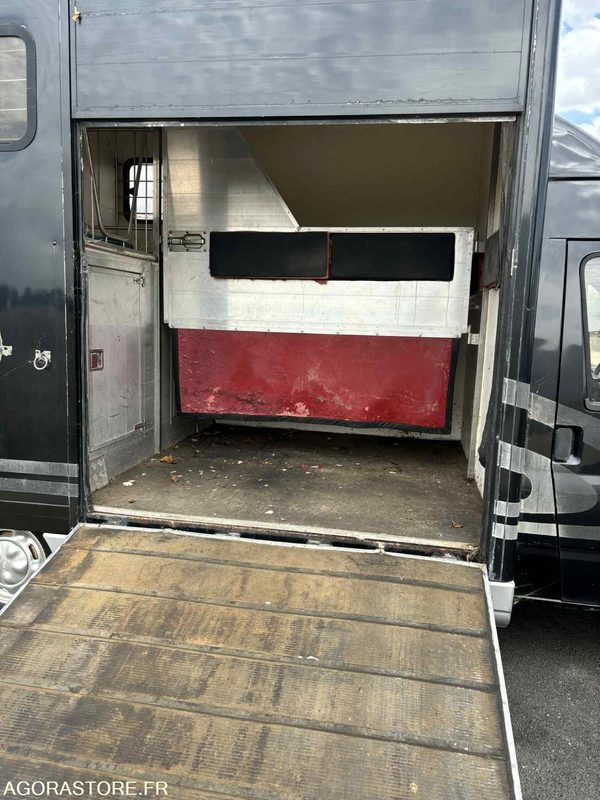Fourgon FORD - Transport de 2 Chevaux - 2004 - 137 510 KM - כלי רכב מסחרי עם לוח: תמונה 3 Fourgon FORD - Transport de 2 Chevaux - 2004 - 137 510 KM - כלי רכב מסחרי עם לוח: תמונה 3