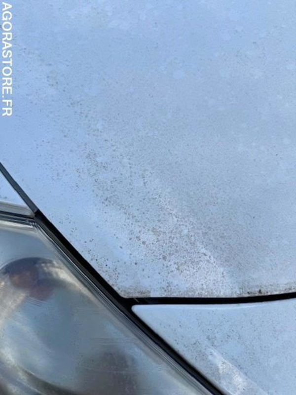 RENAULT CLIO - מכונית: תמונה 5 RENAULT CLIO - מכונית: תמונה 5