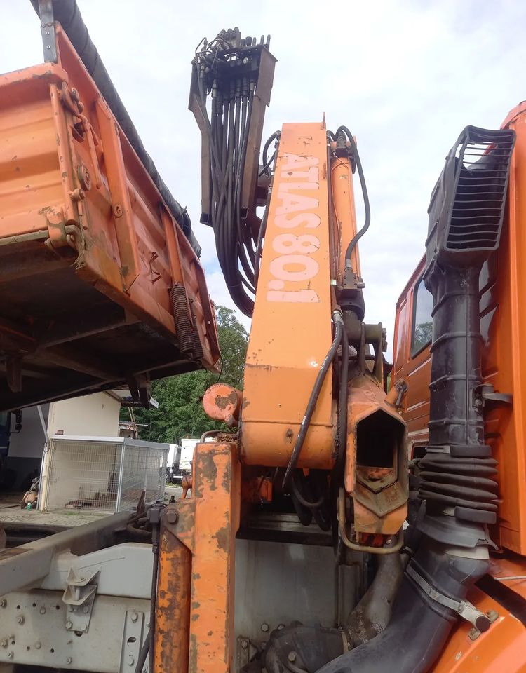 Inny KIPER MILLER HDS ATLAS 80.1 - מזהיר: תמונה 4 Inny KIPER MILLER HDS ATLAS 80.1 - מזהיר: תמונה 4
