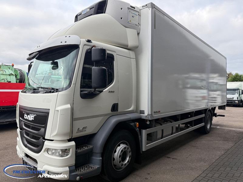 DAF LF 280 Euro 6, Carrier Supra, Olie in het koelwater - משאית קירור: תמונה 3 DAF LF 280 Euro 6, Carrier Supra, Olie in het koelwater - משאית קירור: תמונה 3