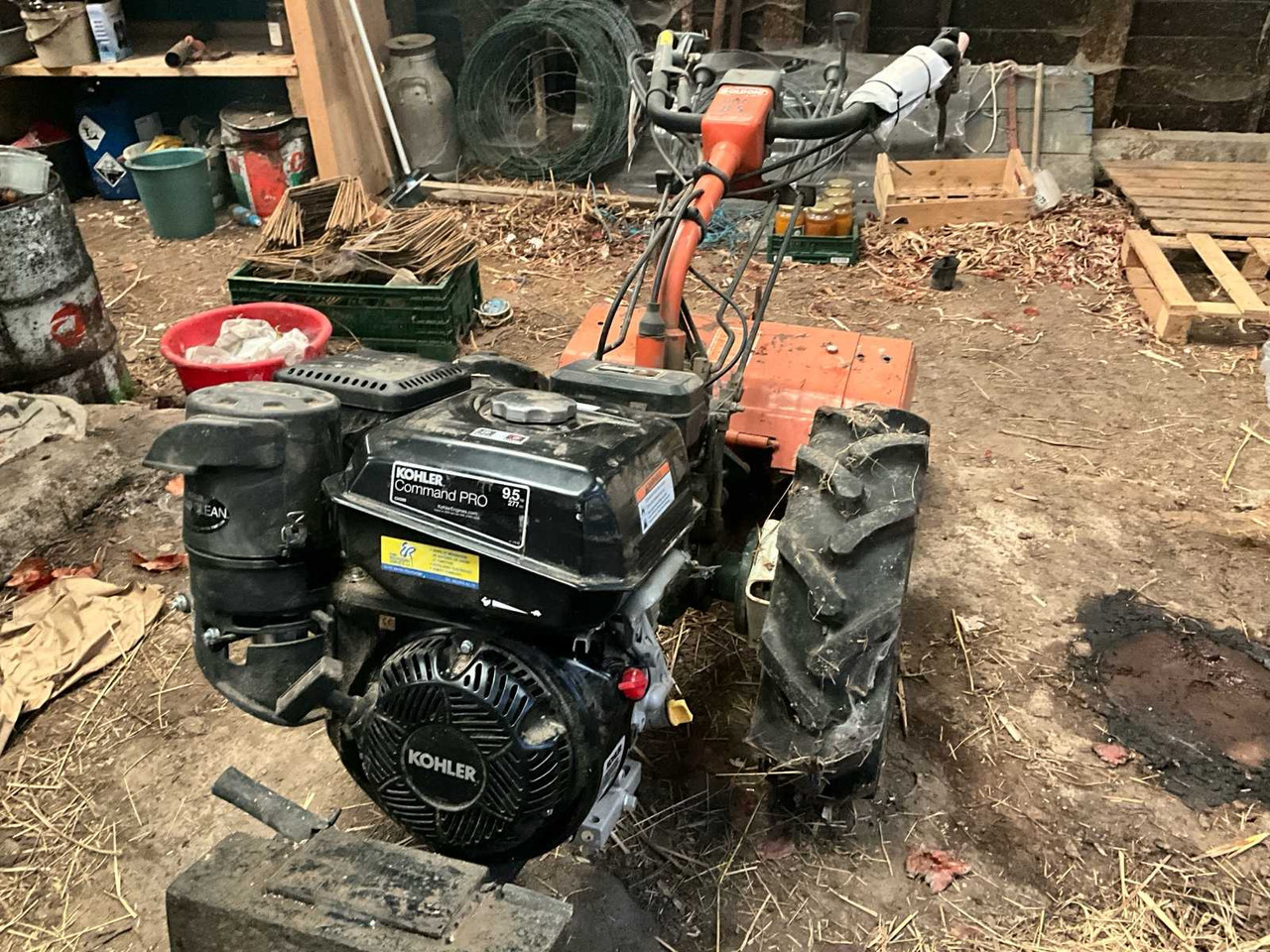 Goldoni UNO 8S - שתיל גינה: תמונה 1 Goldoni UNO 8S - שתיל גינה: תמונה 1