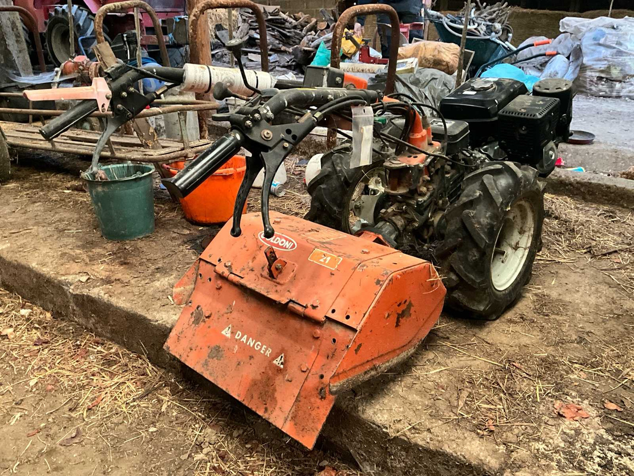 Goldoni UNO 8S - שתיל גינה: תמונה 5 Goldoni UNO 8S - שתיל גינה: תמונה 5