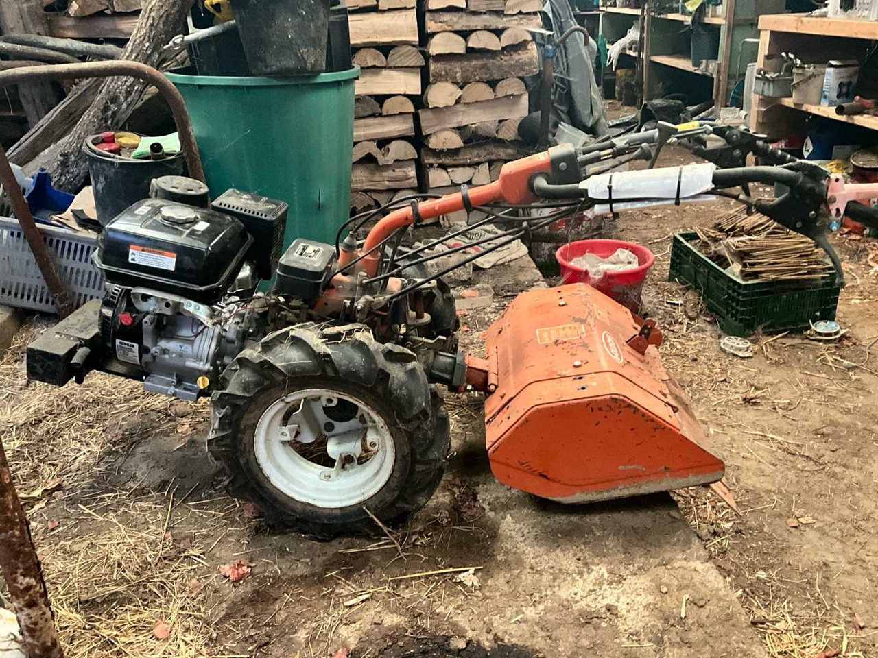 Goldoni UNO 8S - שתיל גינה: תמונה 2 Goldoni UNO 8S - שתיל גינה: תמונה 2