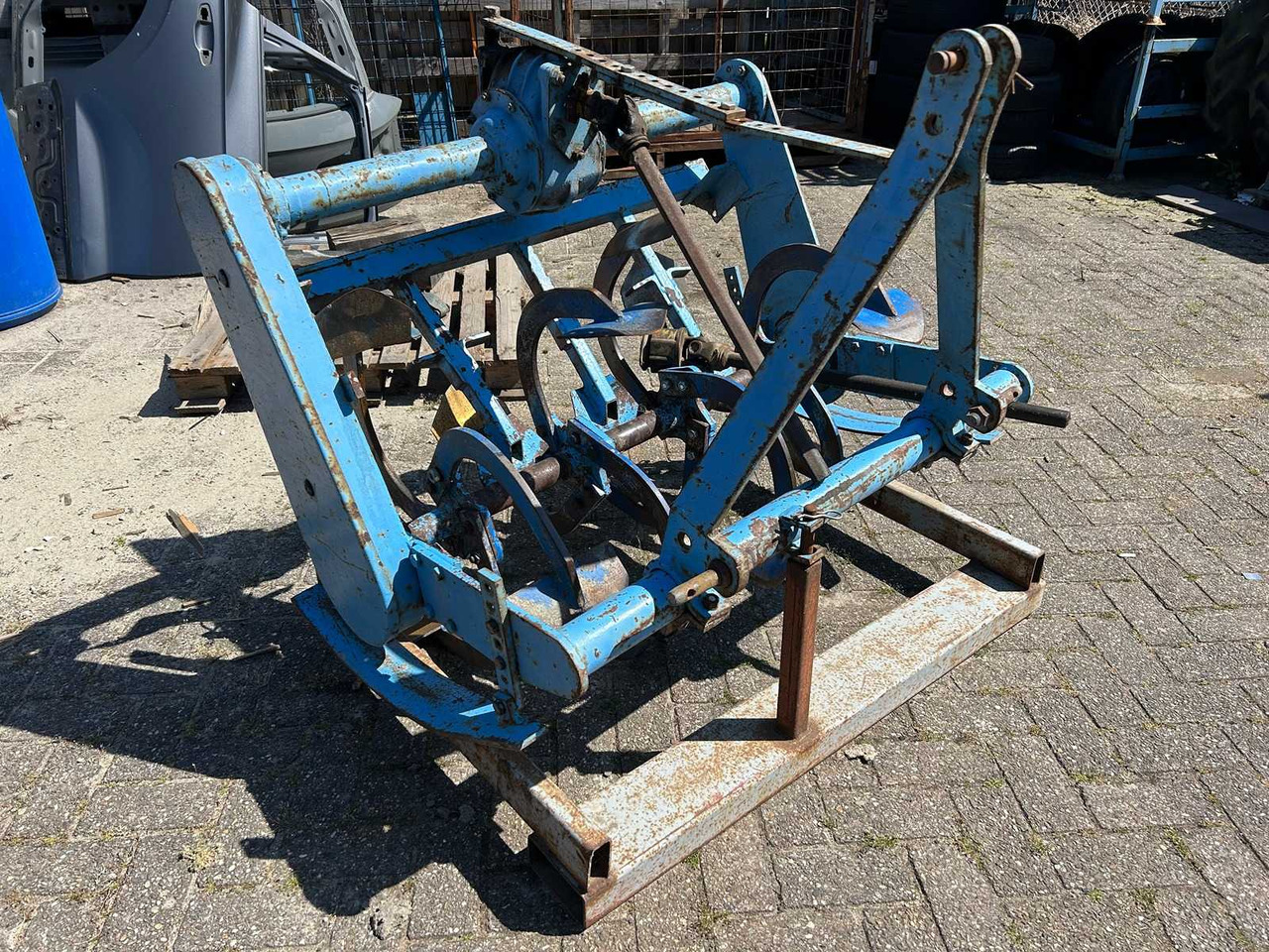 Imants - שתיל גינה: תמונה 1 Imants - שתיל גינה: תמונה 1