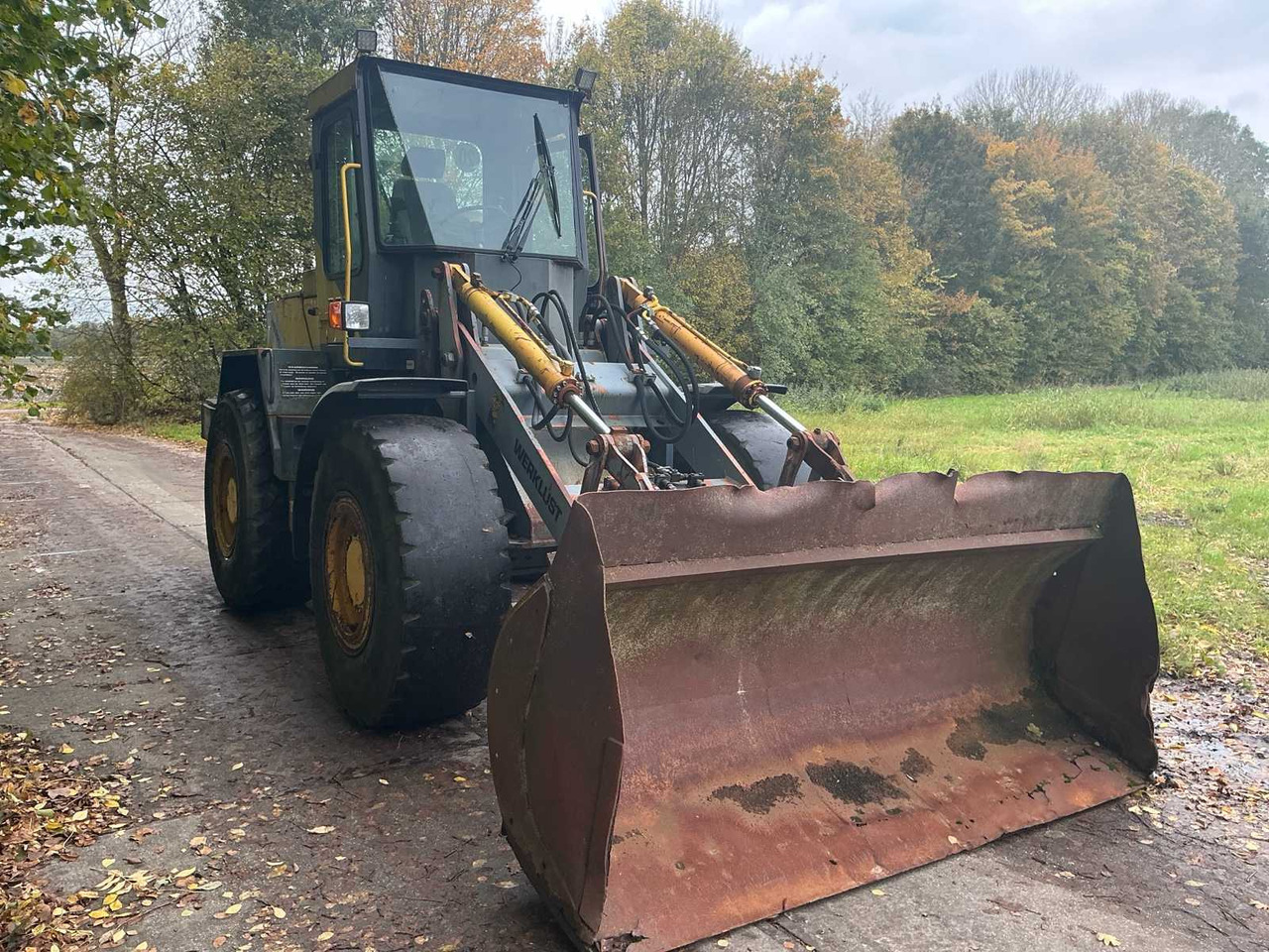 Werklust WG18C - מעמיס גלגלים: תמונה 3 Werklust WG18C - מעמיס גלגלים: תמונה 3