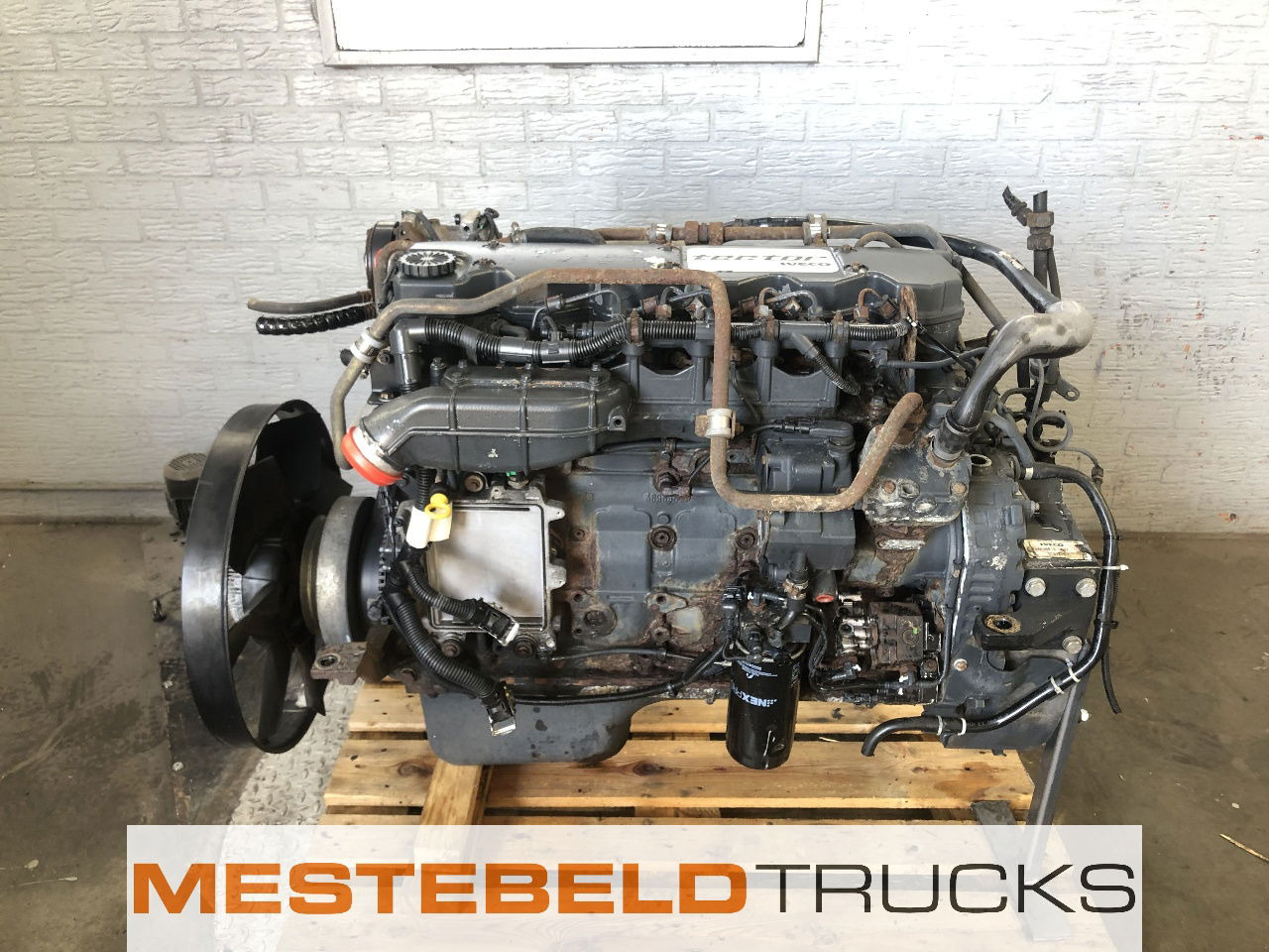 Iveco Motor tector F4AE3681B E4 - מנוע עבור משאית: תמונה 1 Iveco Motor tector F4AE3681B E4 - מנוע עבור משאית: תמונה 1