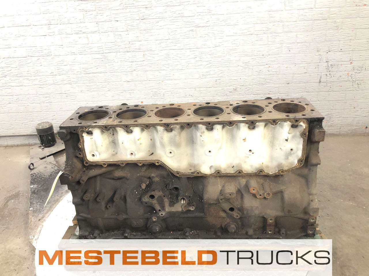 Renault Motorblok DXI 13 Magnum - מנוע עבור משאית: תמונה 3 Renault Motorblok DXI 13 Magnum - מנוע עבור משאית: תמונה 3