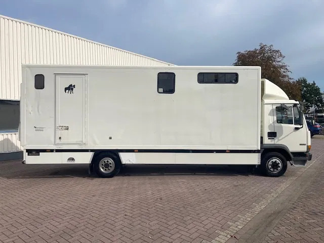 DAF LF 45.130 CLEAN HORSES NL-TRUCK - משאית סוסים: תמונה 5 DAF LF 45.130 CLEAN HORSES NL-TRUCK - משאית סוסים: תמונה 5