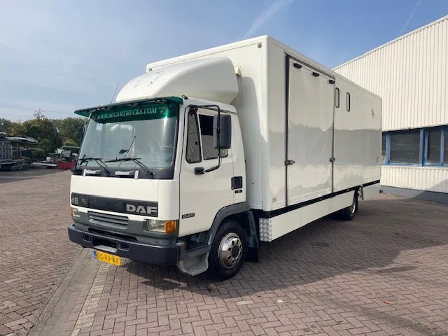 DAF LF 45.130 CLEAN HORSES NL-TRUCK - משאית סוסים: תמונה 3 DAF LF 45.130 CLEAN HORSES NL-TRUCK - משאית סוסים: תמונה 3