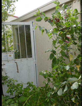 Container sanitaire - מכולת בנייה: תמונה 1 Container sanitaire - מכולת בנייה: תמונה 1
