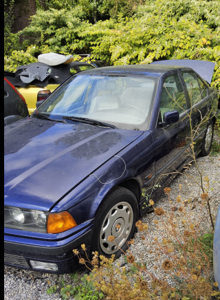 Bmw - מכונית: תמונה 2 Bmw - מכונית: תמונה 2
