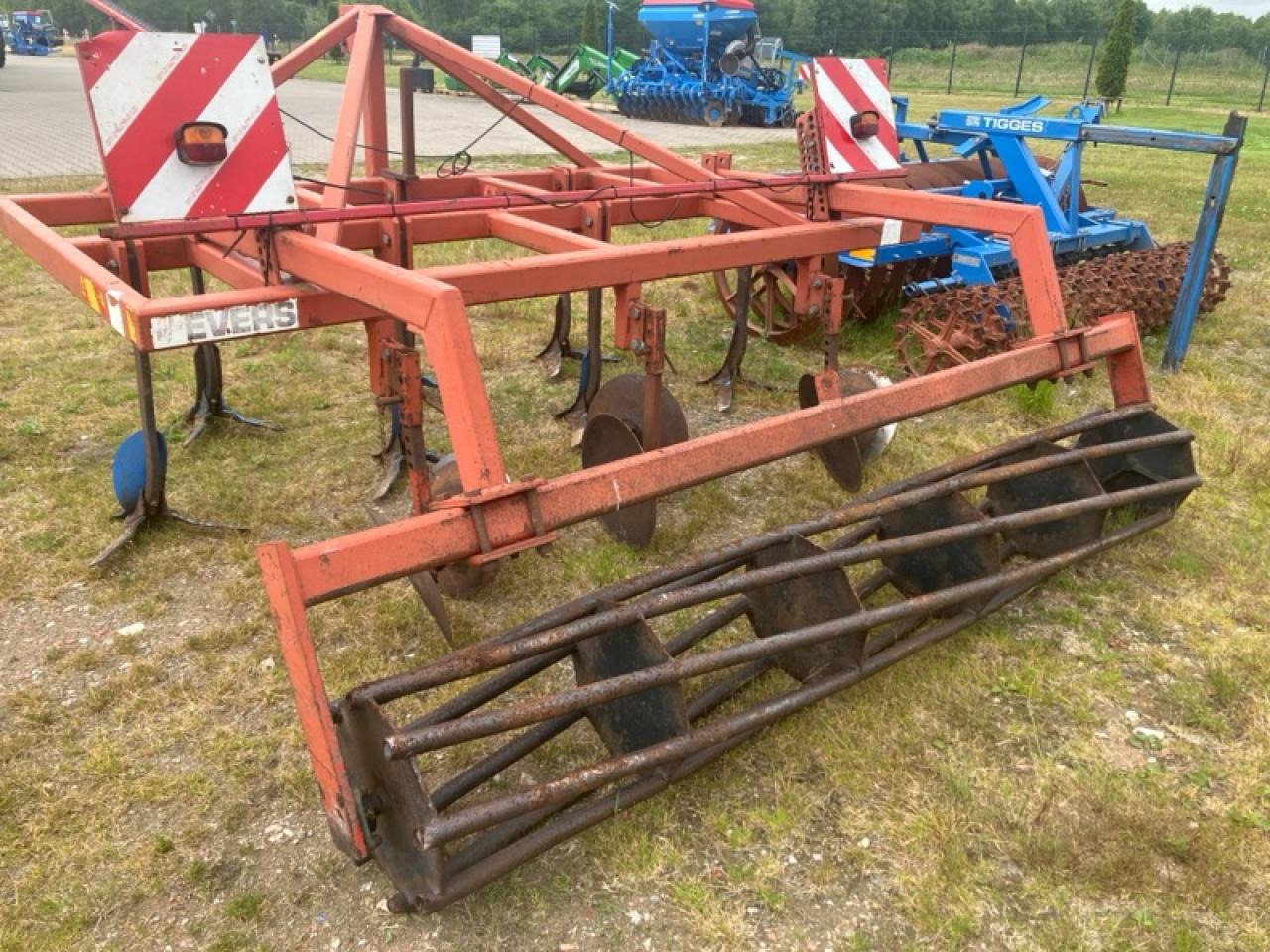 Evers Brumby - קלטרת: תמונה 2 Evers Brumby - קלטרת: תמונה 2