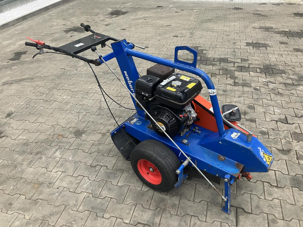 Weber BBF BSF 13 - שתיל גינה: תמונה 2 Weber BBF BSF 13 - שתיל גינה: תמונה 2