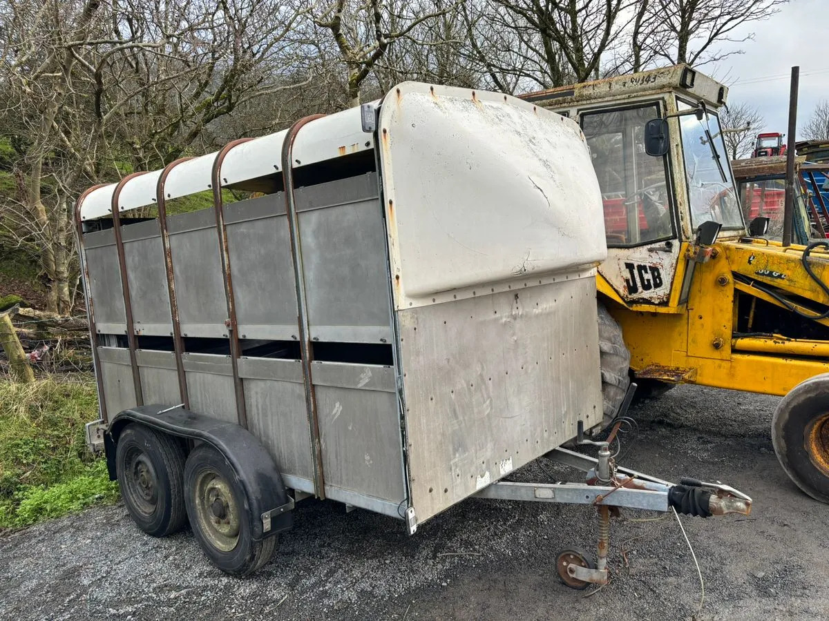 10X6 Ivor Williams - קרון נגרר להובלת בעלי חיים: תמונה 1 10X6 Ivor Williams - קרון נגרר להובלת בעלי חיים: תמונה 1