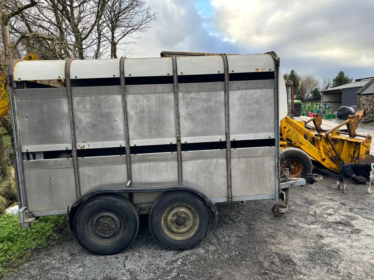 10X6 Ivor Williams - קרון נגרר להובלת בעלי חיים: תמונה 2 10X6 Ivor Williams - קרון נגרר להובלת בעלי חיים: תמונה 2