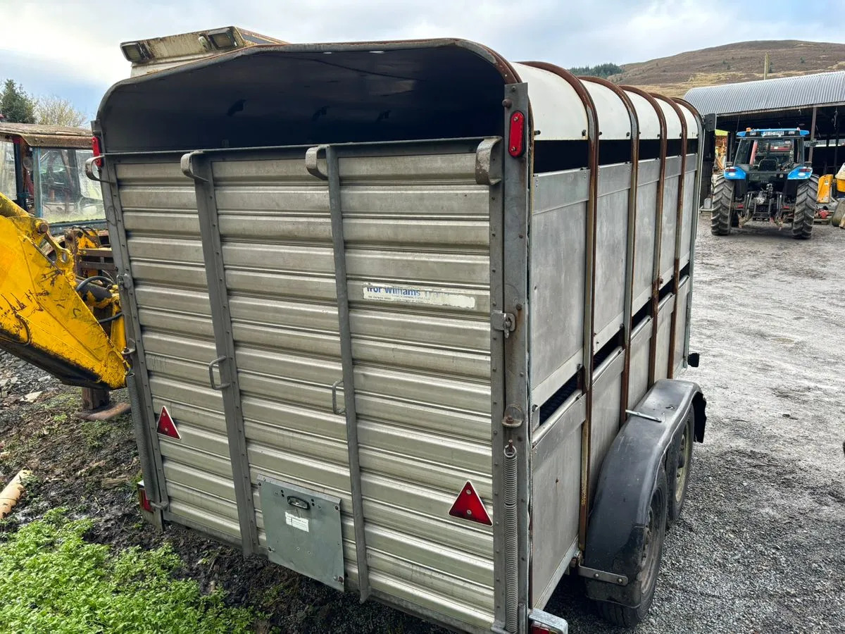 10X6 Ivor Williams - קרון נגרר להובלת בעלי חיים: תמונה 5 10X6 Ivor Williams - קרון נגרר להובלת בעלי חיים: תמונה 5