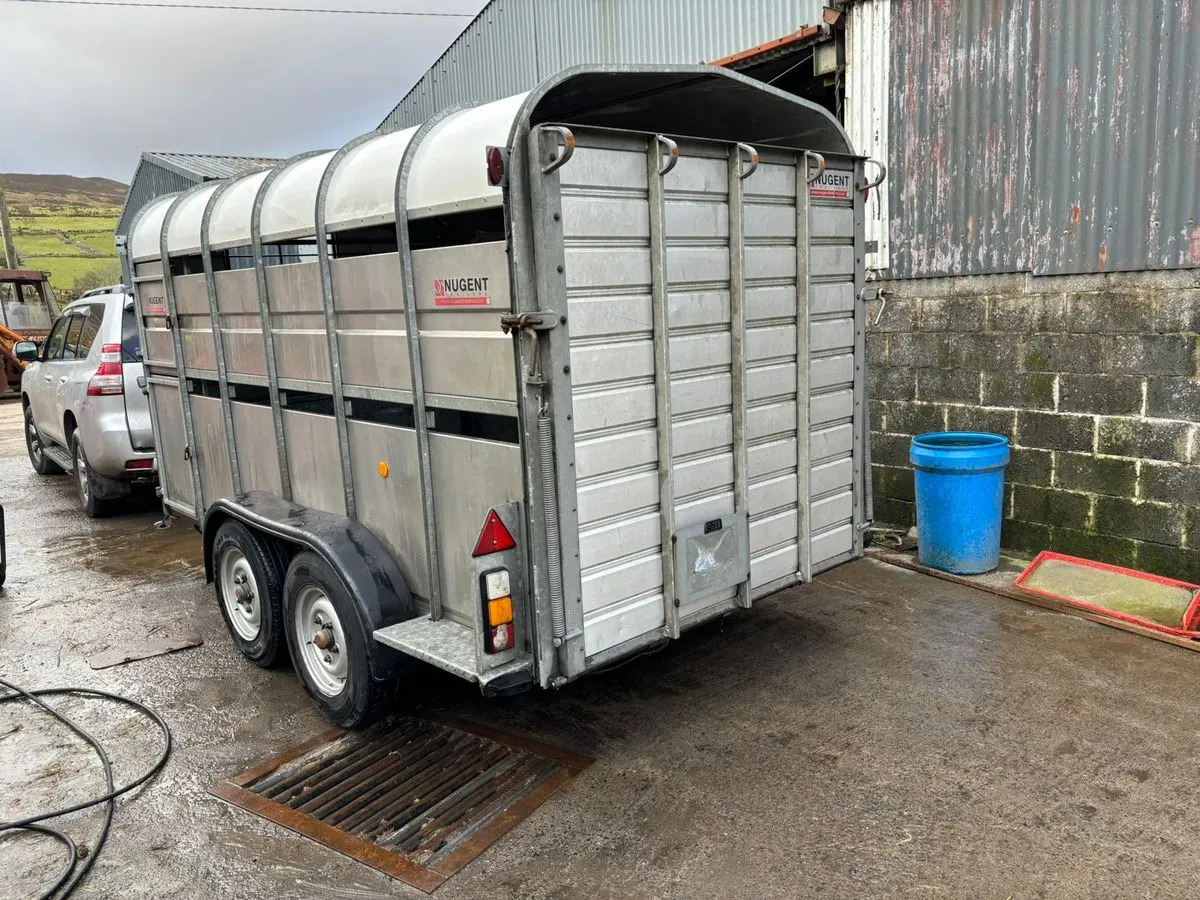 12X6 Nugent Livestock Trailer - קרון נגרר להובלת בעלי חיים: תמונה 3 12X6 Nugent Livestock Trailer - קרון נגרר להובלת בעלי חיים: תמונה 3