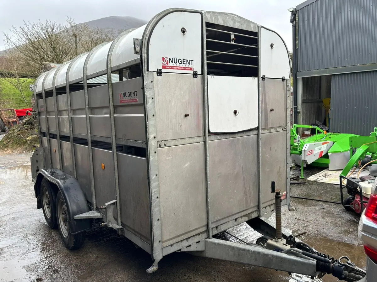 12X6 Nugent Livestock Trailer - קרון נגרר להובלת בעלי חיים: תמונה 1 12X6 Nugent Livestock Trailer - קרון נגרר להובלת בעלי חיים: תמונה 1