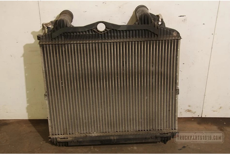 MAN TGA Cooling System Interkoeler TGA - רדיאטור עבור משאית: תמונה 1 MAN TGA Cooling System Interkoeler TGA - רדיאטור עבור משאית: תמונה 1