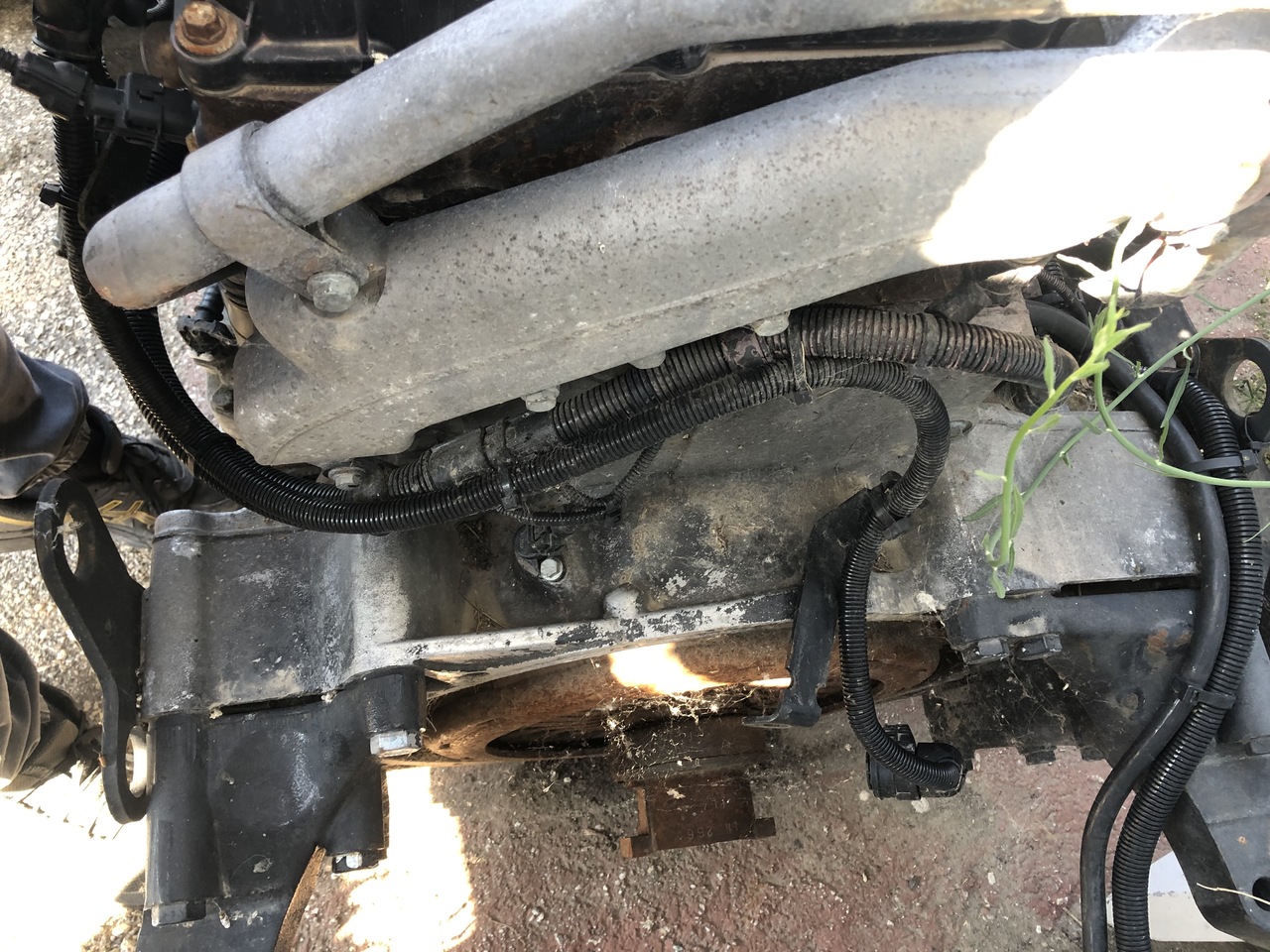MAN TGA D2066 LF02 430HP EURO 3 COMMON RAIL - מנוע עבור משאית: תמונה 5 MAN TGA D2066 LF02 430HP EURO 3 COMMON RAIL - מנוע עבור משאית: תמונה 5