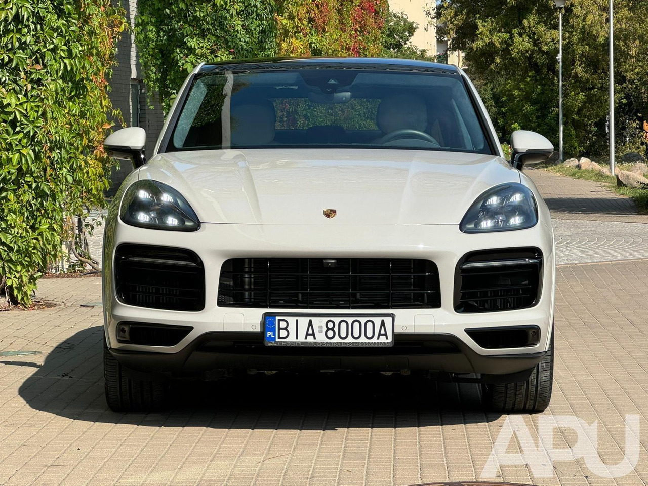 Porsche Cayenne Turbo - מכונית: תמונה 5 Porsche Cayenne Turbo - מכונית: תמונה 5