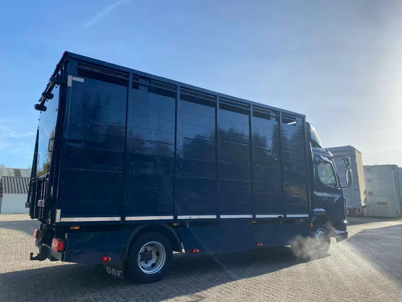 DAF LF 280 - משאית להובלת בעלי חיים: תמונה 3 DAF LF 280 - משאית להובלת בעלי חיים: תמונה 3