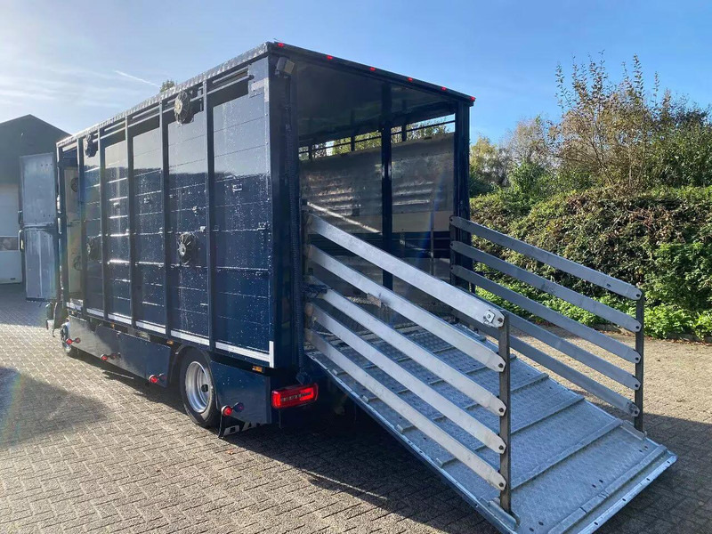 DAF LF 280 - משאית להובלת בעלי חיים: תמונה 5 DAF LF 280 - משאית להובלת בעלי חיים: תמונה 5