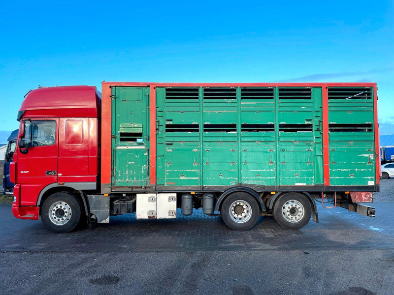 DAF XF 105.460 2-Stock Finkl Viehaufbau / Lenkachs - משאית להובלת בעלי חיים: תמונה 5 DAF XF 105.460 2-Stock Finkl Viehaufbau / Lenkachs - משאית להובלת בעלי חיים: תמונה 5