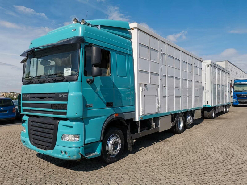 DAF XF 105.460 - Animal transporter + trailer - משאית להובלת בעלי חיים: תמונה 1 DAF XF 105.460 - Animal transporter + trailer - משאית להובלת בעלי חיים: תמונה 1