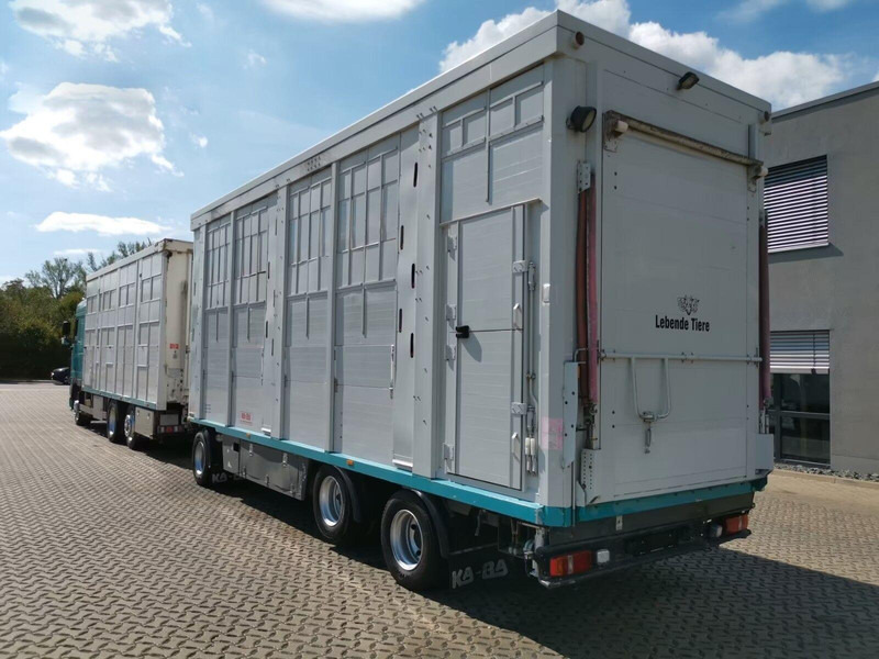 DAF XF 105.460 - Animal transporter + trailer - משאית להובלת בעלי חיים: תמונה 4 DAF XF 105.460 - Animal transporter + trailer - משאית להובלת בעלי חיים: תמונה 4