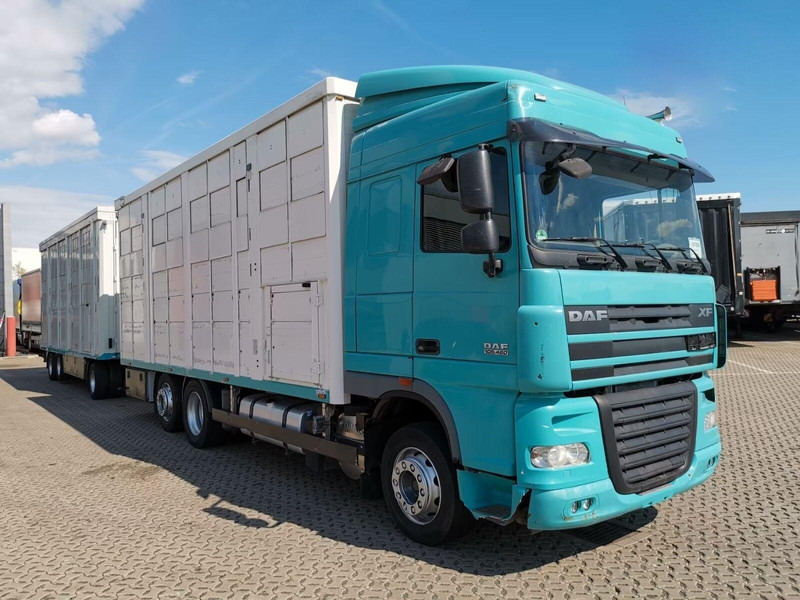 DAF XF 105.460 - Animal transporter + trailer - משאית להובלת בעלי חיים: תמונה 2 DAF XF 105.460 - Animal transporter + trailer - משאית להובלת בעלי חיים: תמונה 2