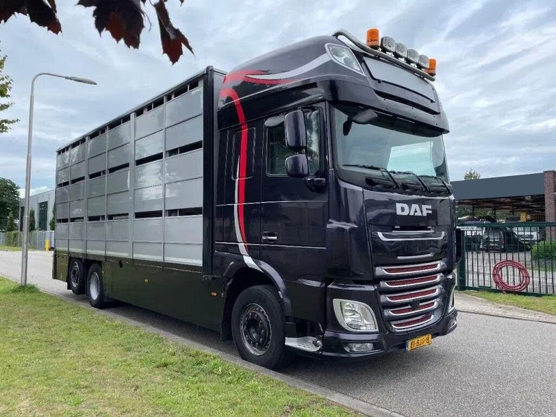 DAF XF 460 - Animal transporter - משאית להובלת בעלי חיים: תמונה 2 DAF XF 460 - Animal transporter - משאית להובלת בעלי חיים: תמונה 2