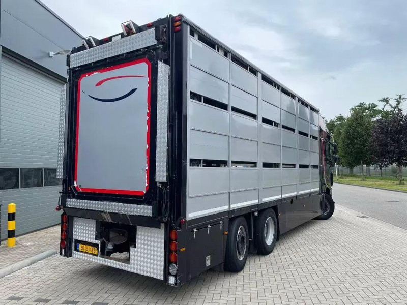 DAF XF 460 - Animal transporter - משאית להובלת בעלי חיים: תמונה 5 DAF XF 460 - Animal transporter - משאית להובלת בעלי חיים: תמונה 5