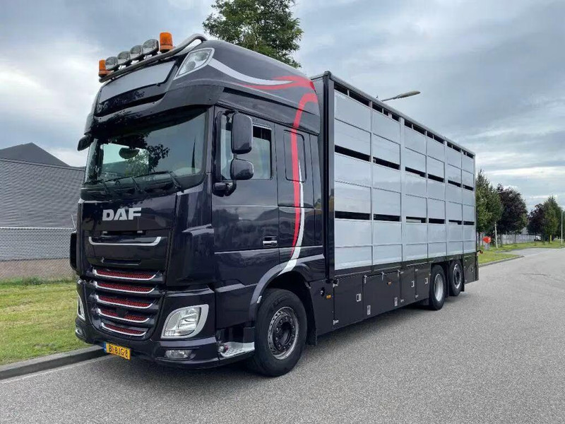 DAF XF 460 - Animal transporter - משאית להובלת בעלי חיים: תמונה 1 DAF XF 460 - Animal transporter - משאית להובלת בעלי חיים: תמונה 1
