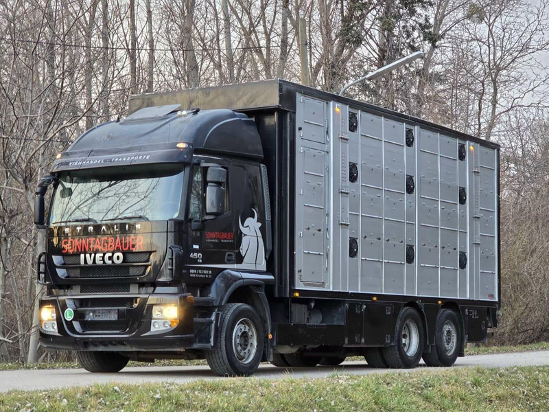 Iveco Stralis 260S45 - Animal transporter - משאית להובלת בעלי חיים: תמונה 1 Iveco Stralis 260S45 - Animal transporter - משאית להובלת בעלי חיים: תמונה 1