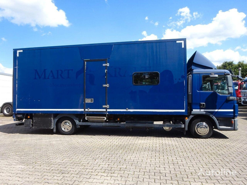MAN 8.220 - Koffer - משאית תיבה: תמונה 4 MAN 8.220 - Koffer - משאית תיבה: תמונה 4