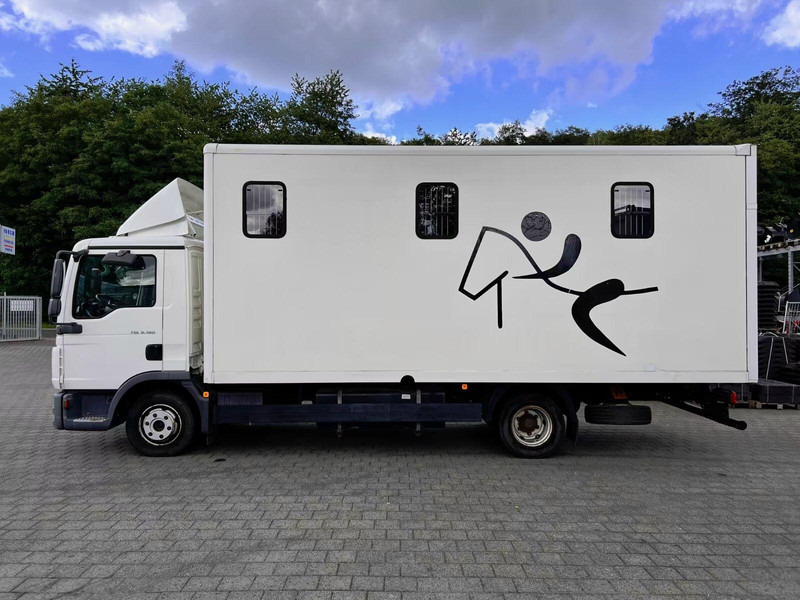 MAN TGL 8.180 - Horse transporter - משאית סוסים: תמונה 3 MAN TGL 8.180 - Horse transporter - משאית סוסים: תמונה 3