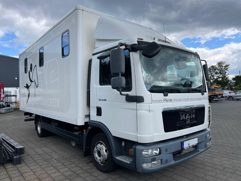 MAN TGL 8.180 - Horse transporter - משאית סוסים: תמונה 2 MAN TGL 8.180 - Horse transporter - משאית סוסים: תמונה 2