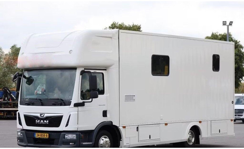 MAN TGL 8.190 - - משאית סוסים: תמונה 1 MAN TGL 8.190 - - משאית סוסים: תמונה 1