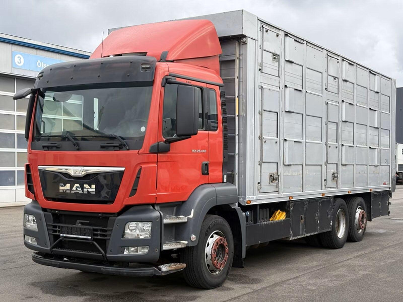 MAN TGS 26.440 - Animal transporter - משאית להובלת בעלי חיים: תמונה 1 MAN TGS 26.440 - Animal transporter - משאית להובלת בעלי חיים: תמונה 1