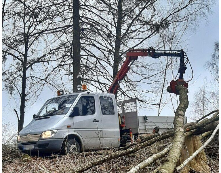 Mercedes-Benz 413 - Doka tipper+crane with gripper - מזהיר, משאית מנוף: תמונה 3 Mercedes-Benz 413 - Doka tipper+crane with gripper - מזהיר, משאית מנוף: תמונה 3