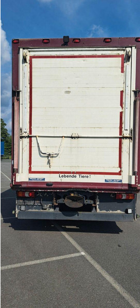Mercedes-Benz Actros 1851 - משאית להובלת בעלי חיים: תמונה 5 Mercedes-Benz Actros 1851 - משאית להובלת בעלי חיים: תמונה 5