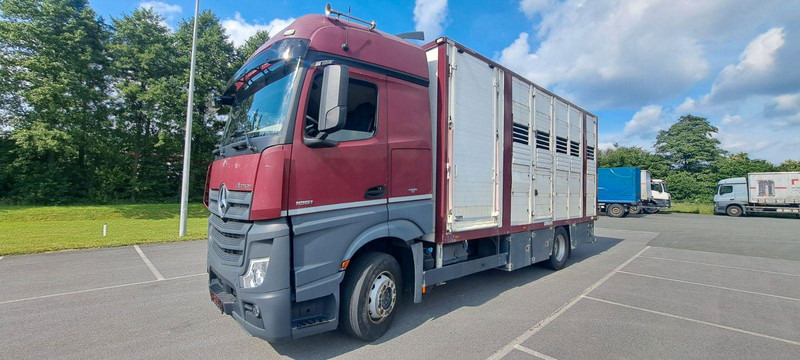 Mercedes-Benz Actros 1851 - משאית להובלת בעלי חיים: תמונה 1 Mercedes-Benz Actros 1851 - משאית להובלת בעלי חיים: תמונה 1
