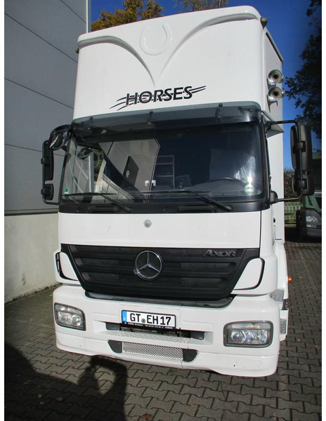Mercedes-Benz Axor 1833 - Horse transporter - משאית סוסים: תמונה 3 Mercedes-Benz Axor 1833 - Horse transporter - משאית סוסים: תמונה 3