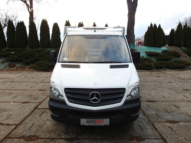 Mercedes-Benz SPRINTER 313 Izotermes - משאית קירור: תמונה 5 Mercedes-Benz SPRINTER 313 Izotermes - משאית קירור: תמונה 5