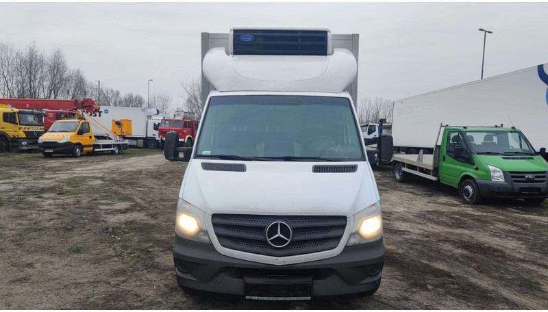 Mercedes-Benz Sprinter 316 cdi - Carrier Xarios 500 frigo - 3,5t - 220V - כלי רכב מסחרי לקירור: תמונה 5 Mercedes-Benz Sprinter 316 cdi - Carrier Xarios 500 frigo - 3,5t - 220V - כלי רכב מסחרי לקירור: תמונה 5