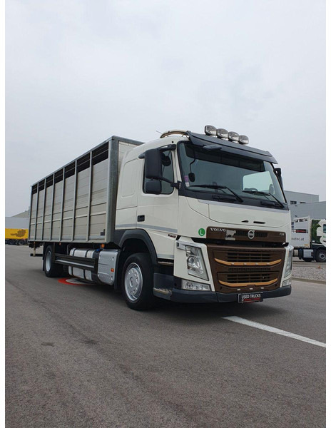 Volvo FM 500 Viehtransporter ( Rind / beef ) - משאית להובלת בעלי חיים: תמונה 1 Volvo FM 500 Viehtransporter ( Rind / beef ) - משאית להובלת בעלי חיים: תמונה 1