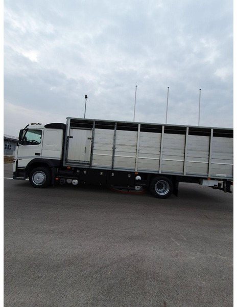 Volvo FM 500 Viehtransporter ( Rind / beef ) - משאית להובלת בעלי חיים: תמונה 5 Volvo FM 500 Viehtransporter ( Rind / beef ) - משאית להובלת בעלי חיים: תמונה 5